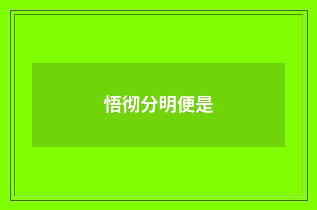 悟彻分明便是