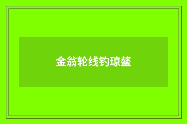金翁轮线钓琼鳌