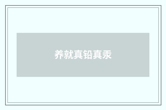 养就真铅真汞