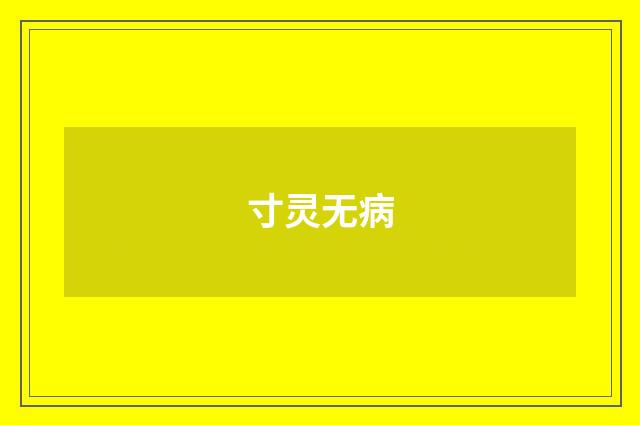 寸灵无病
