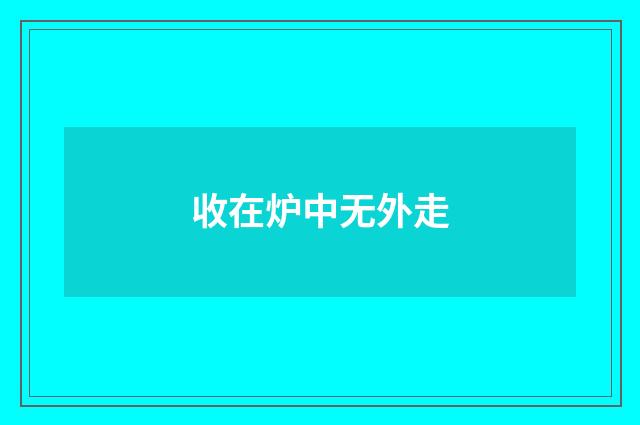 收在炉中无外走