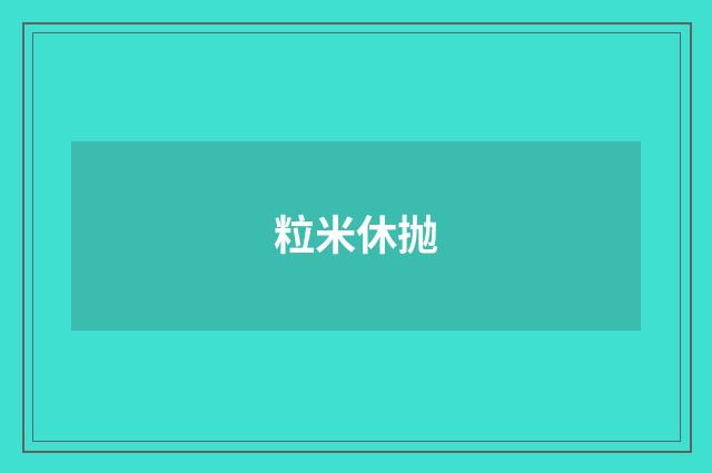 粒米休抛