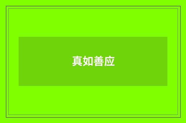 真如善应