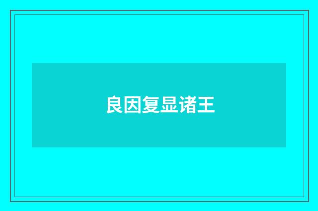 良因复显诸王