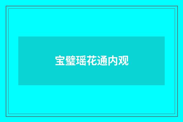 宝璧瑶花通内观