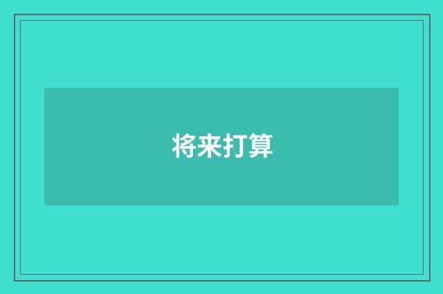 将来打算