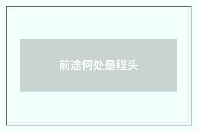 前途何处是程头