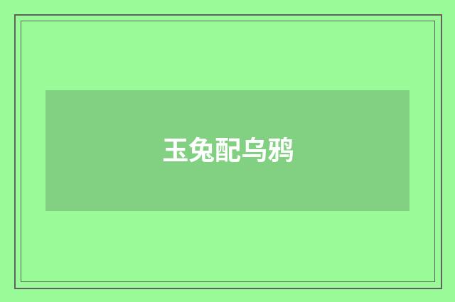 玉兔配乌鸦