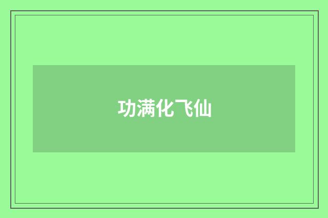 功满化飞仙