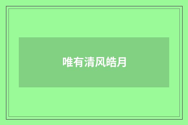 唯有清风皓月