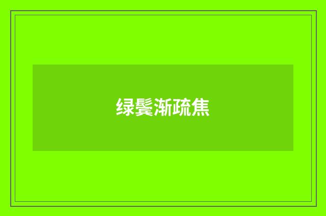 绿鬓渐疏焦