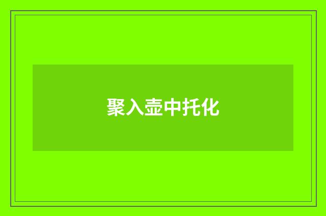 聚入壶中托化