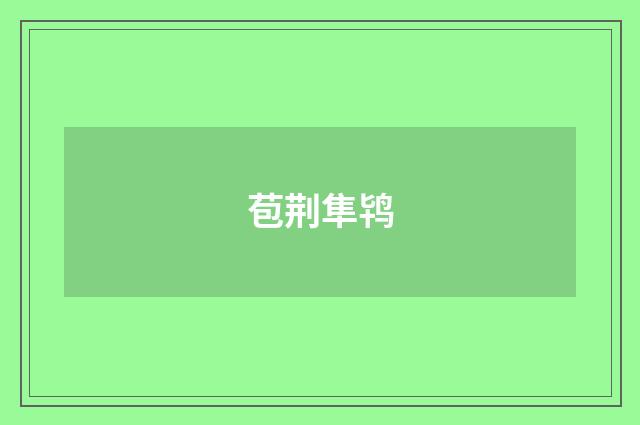 苞荆隼鸨