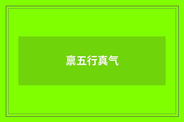 禀五行真气