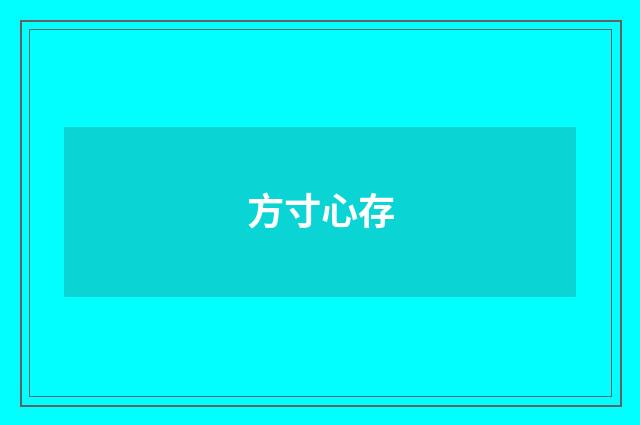 方寸心存