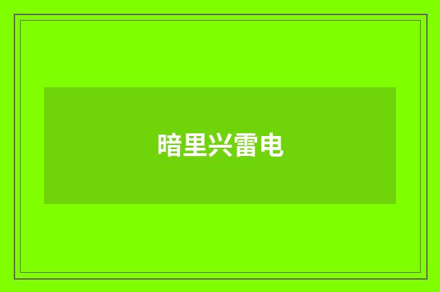 暗里兴雷电