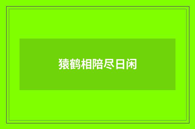 猿鹤相陪尽日闲