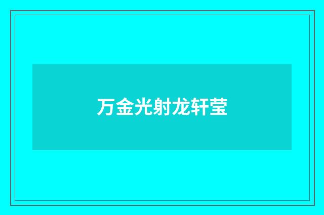 万金光射龙轩莹