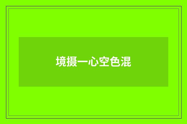 境摄一心空色混