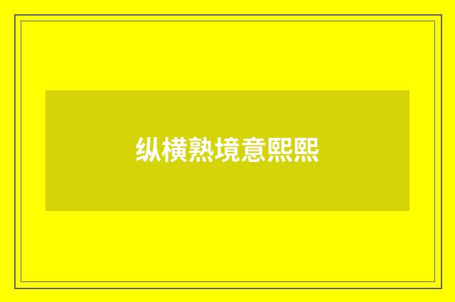 纵横熟境意熙熙
