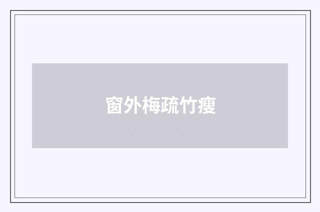 窗外梅疏竹瘦