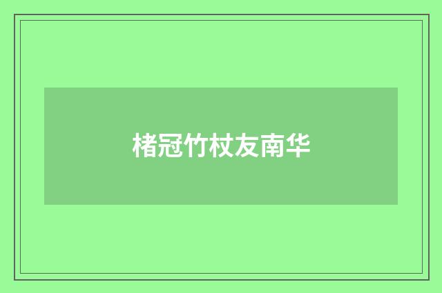 楮冠竹杖友南华