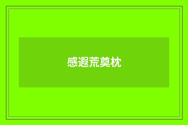 感遐荒奠枕