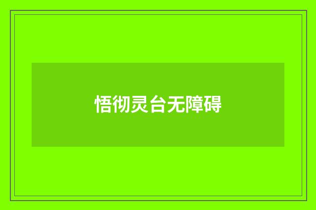 悟彻灵台无障碍