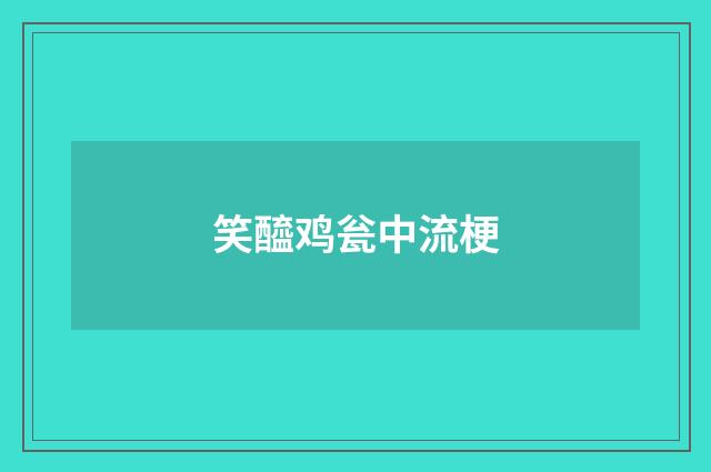 笑醯鸡瓮中流梗