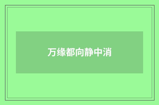 万缘都向静中消