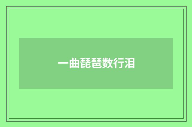 一曲琵琶数行泪
