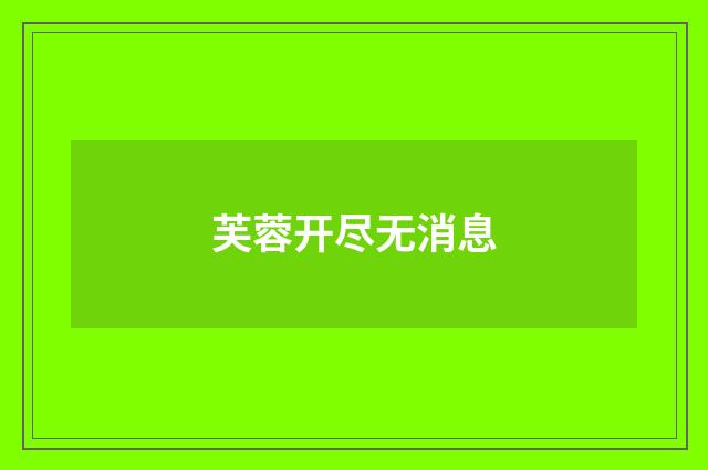 芙蓉开尽无消息