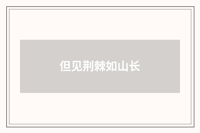 但见荆棘如山长