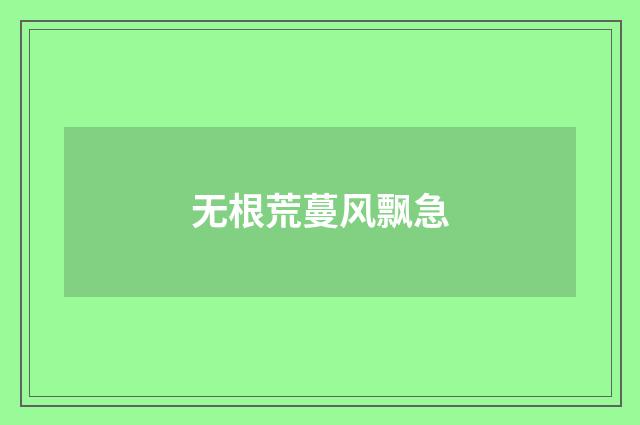 无根荒蔓风飘急