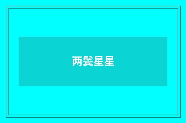 两鬓星星
