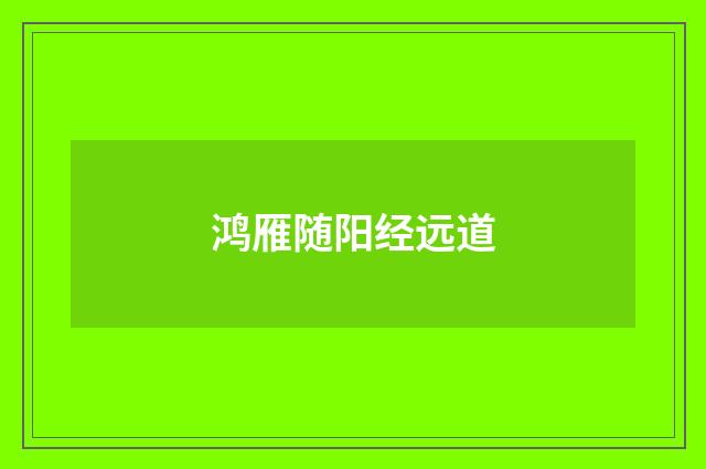 鸿雁随阳经远道