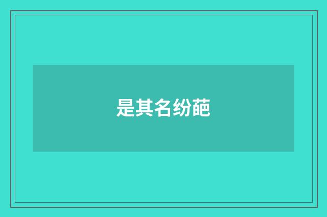 是其名纷葩