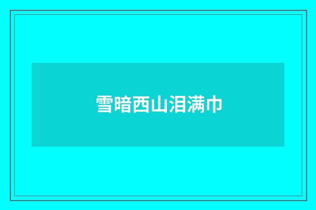 雪暗西山泪满巾