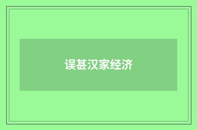 误甚汉家经济