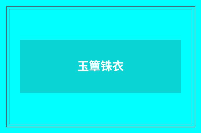 玉簟铢衣