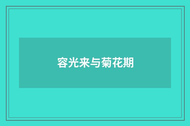 容光来与菊花期