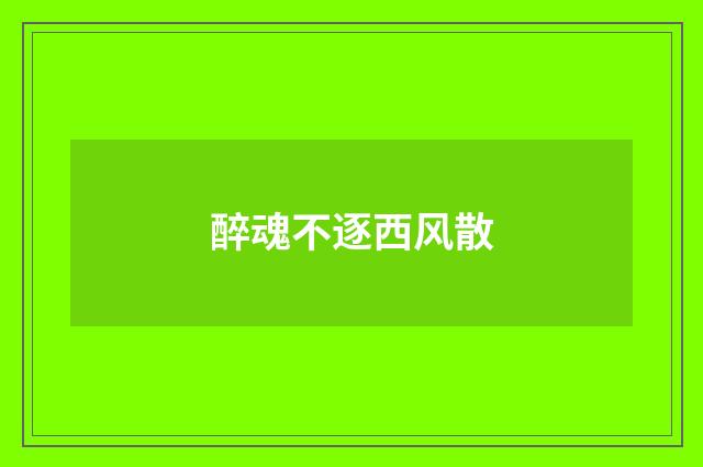 醉魂不逐西风散