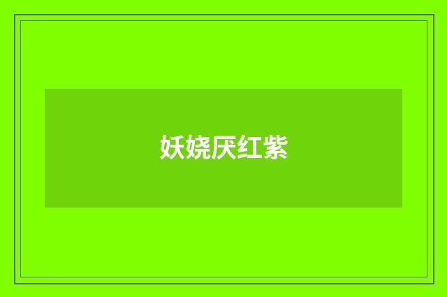 妖娆厌红紫