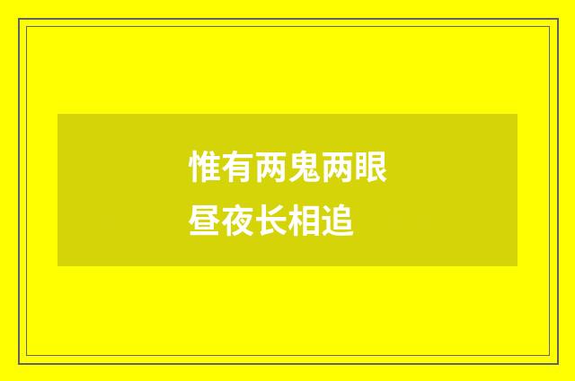 惟有两鬼两眼昼夜长相追