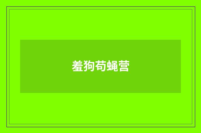 羞狗苟蝇营