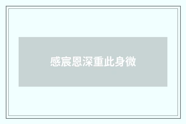 感宸恩深重此身微