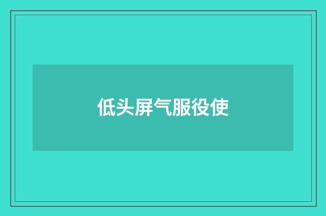 低头屏气服役使