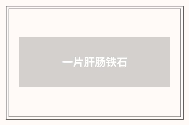 一片肝肠铁石