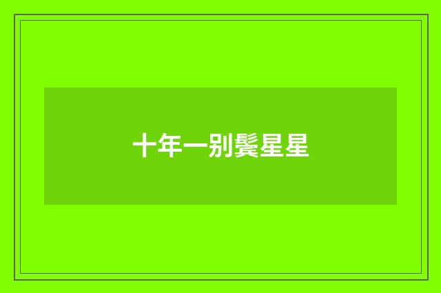 十年一别鬓星星
