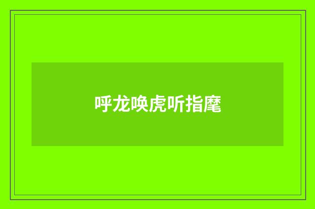 呼龙唤虎听指麾